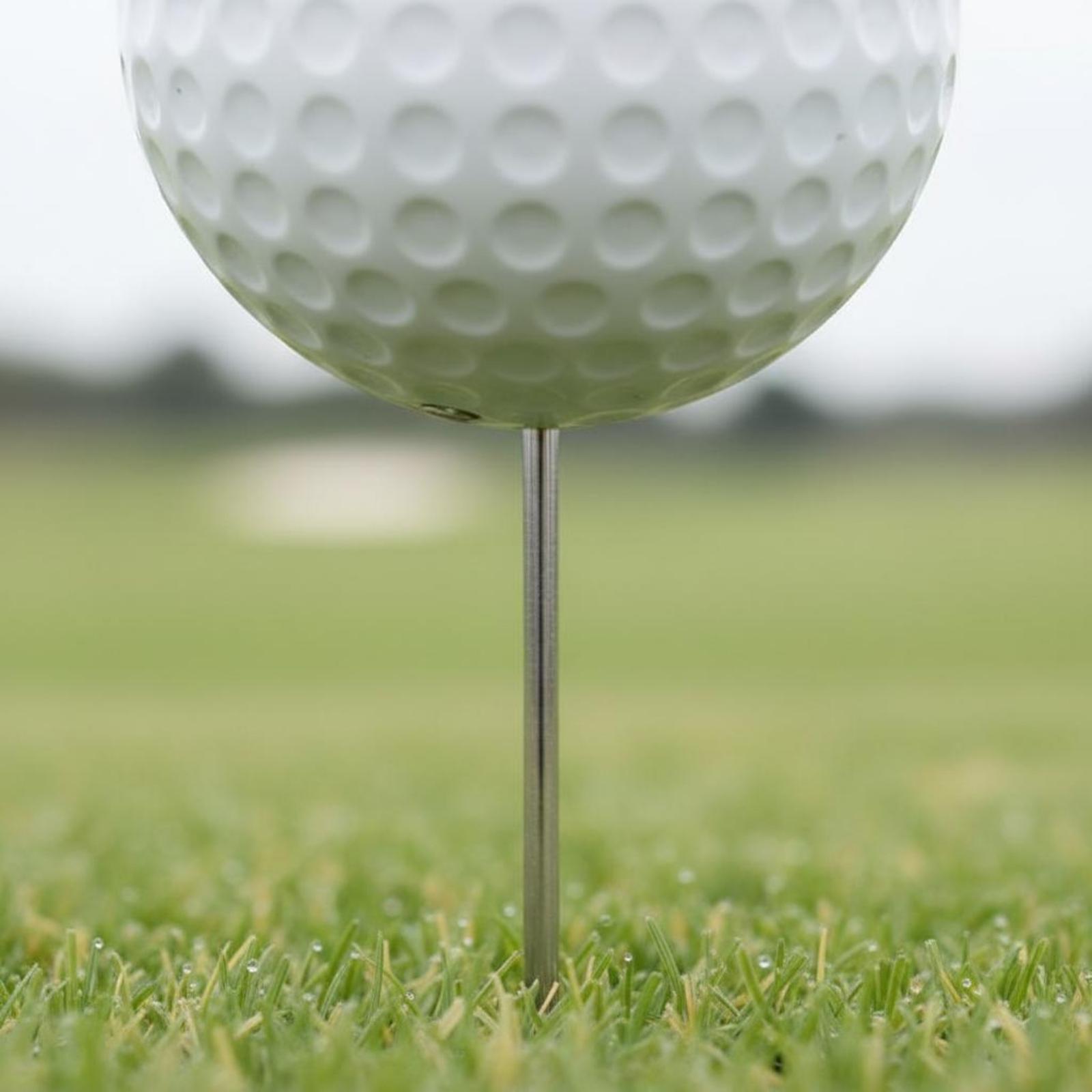 コースティーリングスターター ゴルフボール形状マーカー 光沢 - Golf Tees のレビューと価格